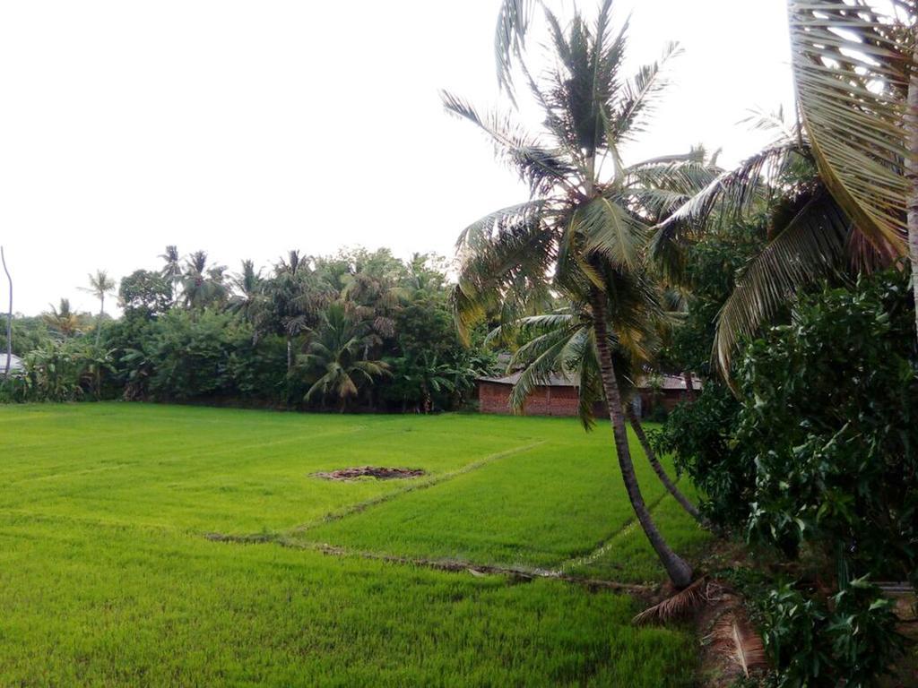 My Home Guest Polonnaruwa Luaran gambar