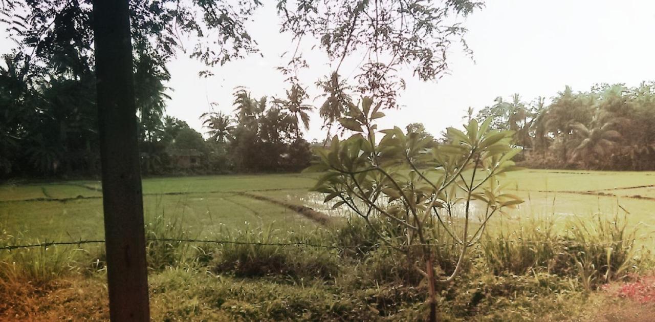 My Home Guest Polonnaruwa Luaran gambar