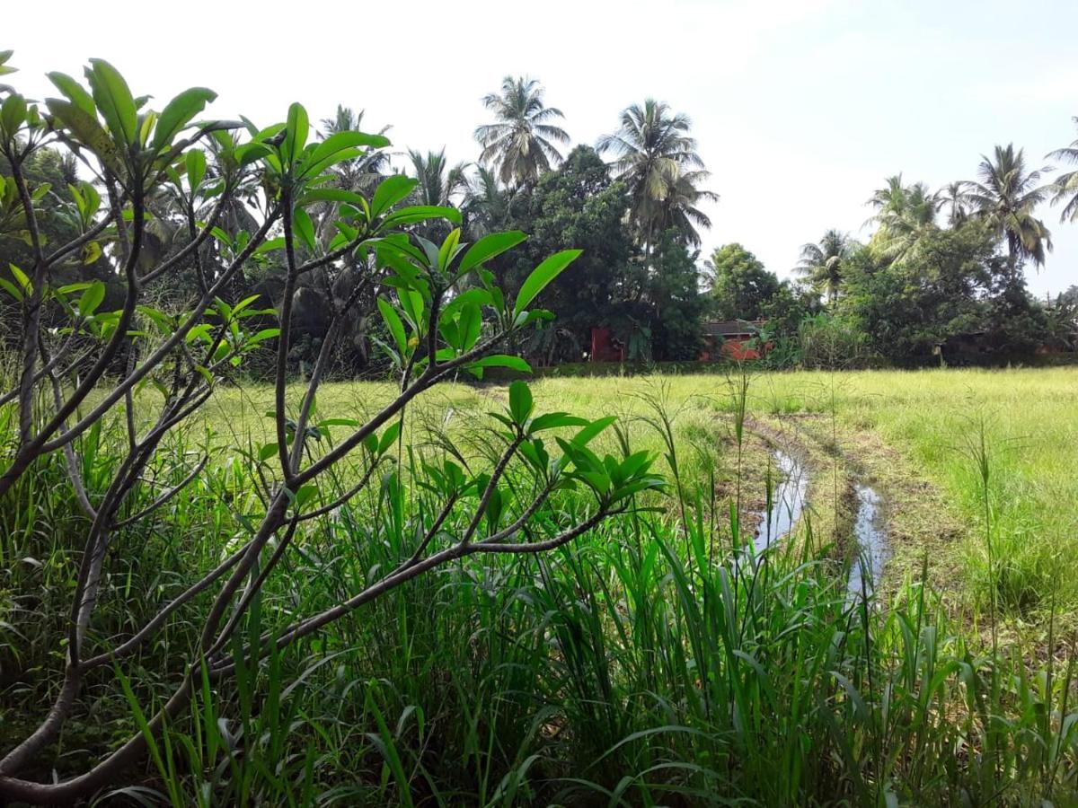 My Home Guest Polonnaruwa Luaran gambar